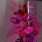 decorative set 49
