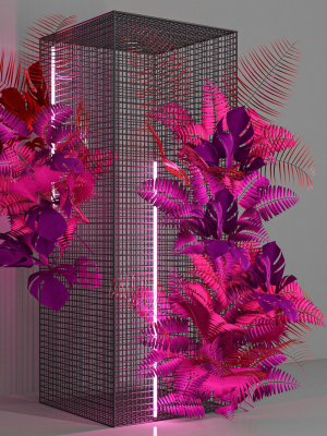 decorative set 49