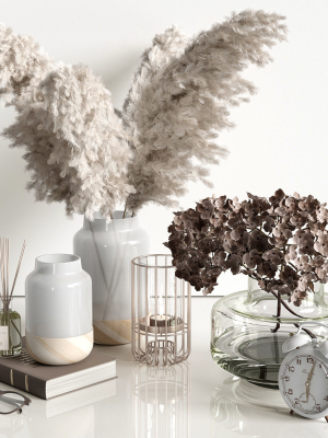 Decorative set with dry plants 4