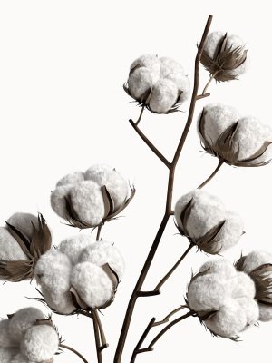 decorative-set-with-dry-plants-5-3d-model-max-obj-fbx