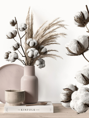 Decorative set with dry plants 5
