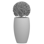 Decorative street bush Boxwood for a porch or a terrace Buxus