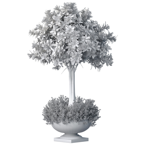 Decorative tall garden tree shrub flowerbed in floorvase