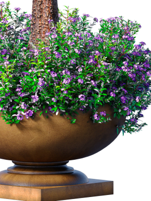 decorative-tall-garden-tree-shrub-flowerbed-in-floorvase-3d-model-a1ffa9c2c2