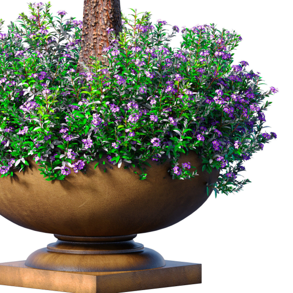 Decorative tall garden tree shrub flowerbed in floorvase