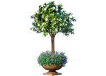Decorative tall garden tree shrub flowerbed in floorvase