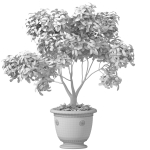 Decorative tree in a classic pot and flowerpot