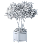 Decorative tree in a garden planter with flowers Houseplant