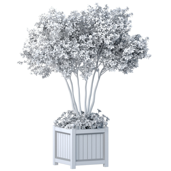 Decorative tree in a garden planter with flowers Houseplant