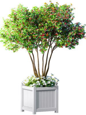 Decorative tree in a garden planter with flowers Houseplant