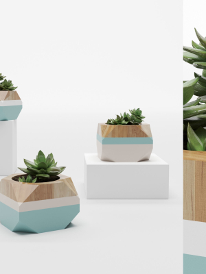 Decorative Vase  430 001
