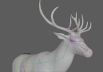Deer Rig