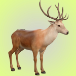 Deer Rig