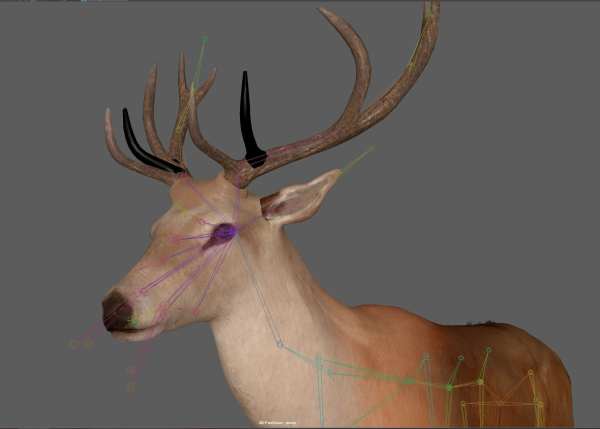 Deer Rig
