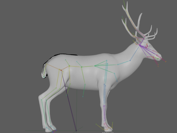 Deer Rig