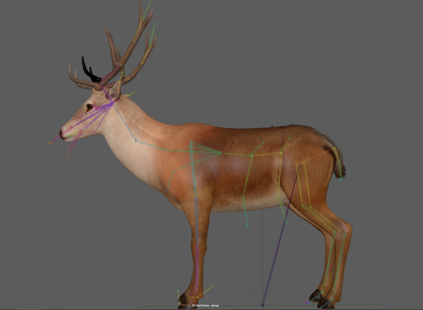 Deer Rig
