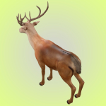 Deer Rig