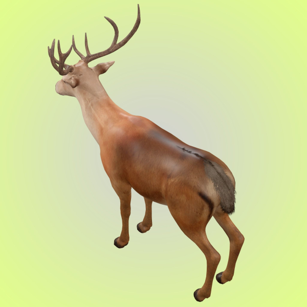 Deer Rig