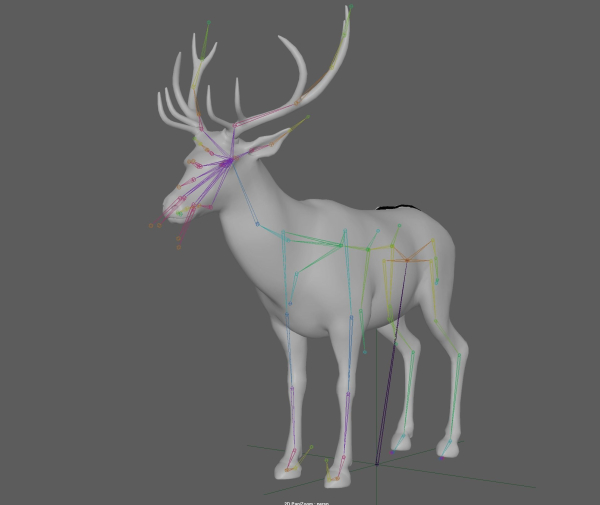 Deer Rig