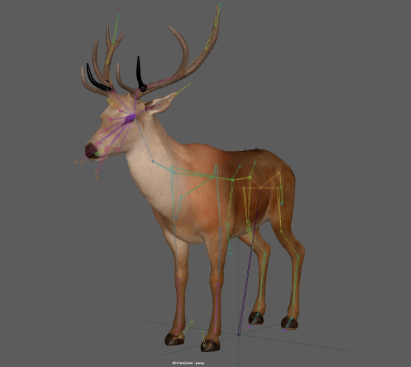 Deer Rig