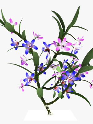 dendrobium-flower-3d-model-2d52b514e9