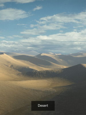 desert-pack-3d-model-obj-fbx-ma-mel
