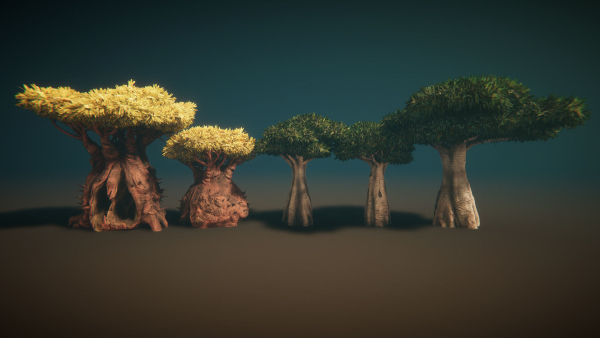 Desert plants