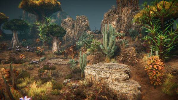 Desert plants