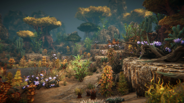 Desert plants
