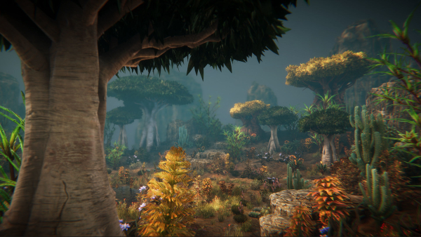 Desert plants