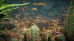 Desert plants