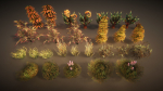 Desert plants