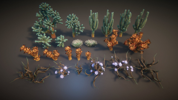 Desert plants