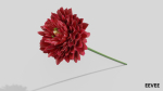 Dhalia - Low Poly dahlia