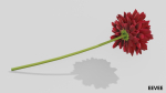 Dhalia - Low Poly dahlia