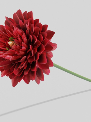 Dhalia - Low Poly dahlia