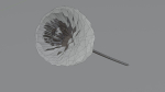 Dhalia - Low Poly dahlia