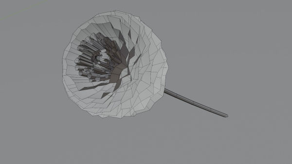Dhalia - Low Poly dahlia