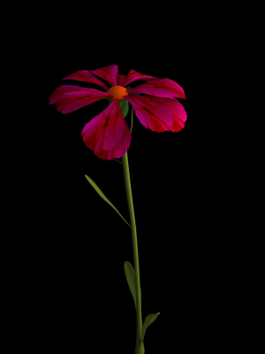 dianthus-artvinensis-3d-model-animated-rigged-max