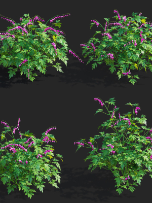 dicentra-spectabilis-flower-3d-model-63e55f1cf0