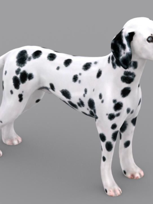 dog-dalmatain-spotty-dog-3d-model-animated-rigged-max-fbx-c4d-ma-blend