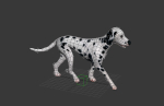 dog dalmatain spotty dog
