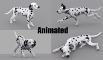 dog dalmatain spotty dog