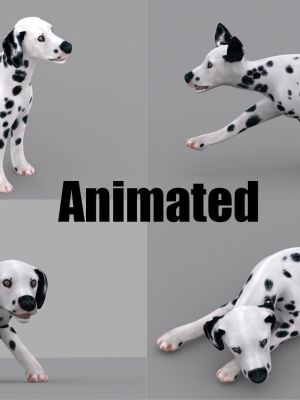 dog dalmatain spotty dog