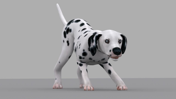 dog dalmatain spotty dog
