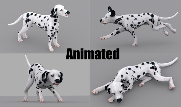 dog dalmatain spotty dog