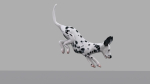 dog dalmatain spotty dog