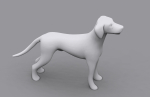 dog dalmatain spotty dog