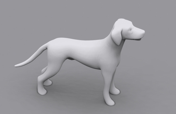 dog dalmatain spotty dog