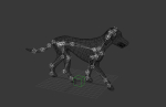 dog dalmatain spotty dog